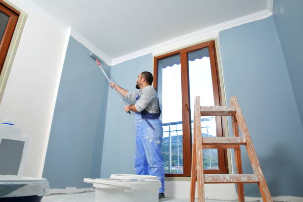 Professional Painting & Drywall Installation in Lonaconing, MD